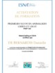 Attestation de formation en premiers secours animaliers attestation_premiers_secours_anima